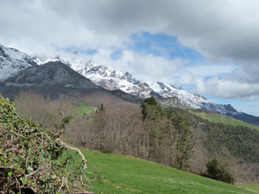 Mogroviejo