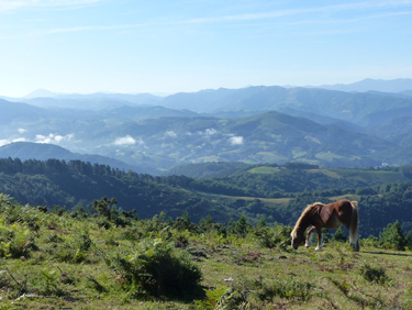 o&ugrave; partir dans les terres dans le Pays Basque