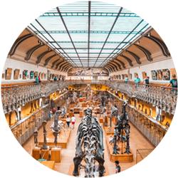 Visiter des mus&eacute;es &agrave; Paris