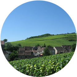 Faire la route des vins en Bourgogne cet &eacute;t&eacute;