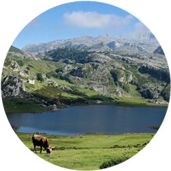 Partir dans les Pyr&eacute;n&eacute;es cet &eacute;t&eacute;