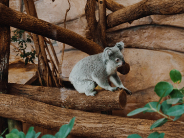 vacanze in famiglia bioparco roma italia
