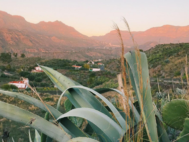 &eacute;moignage de membres : partir en randonn&eacute;e dans les Canaries - &eacute;change de maison