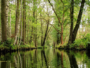 Spreewald: das gr&uuml;ne Venedig